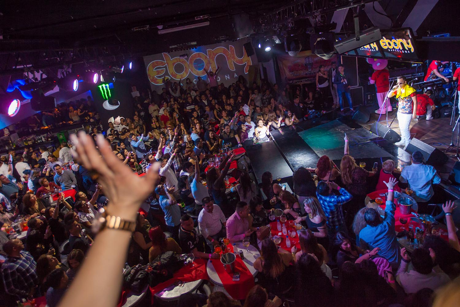 ICULTAMBIENTE EN EL CONCIERTO ORQUESTA ZAPEROKO al Up & Down.Per la secció Otros Escenarios. FOTO MARTI FRADERA