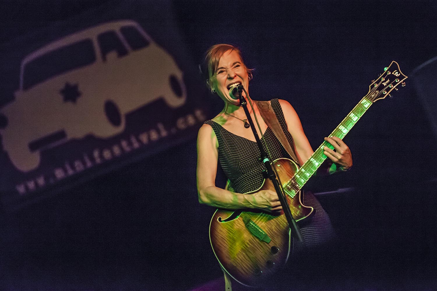 OTROS ESCENARIOS POSIBLES09/02/2019ACTUACION DE KRISTIN HERSH EN EL MINIFESTIVAL POP DE LES BASSES EN NOU BARRIS BARCELONAFOTO MARTI FRADERA