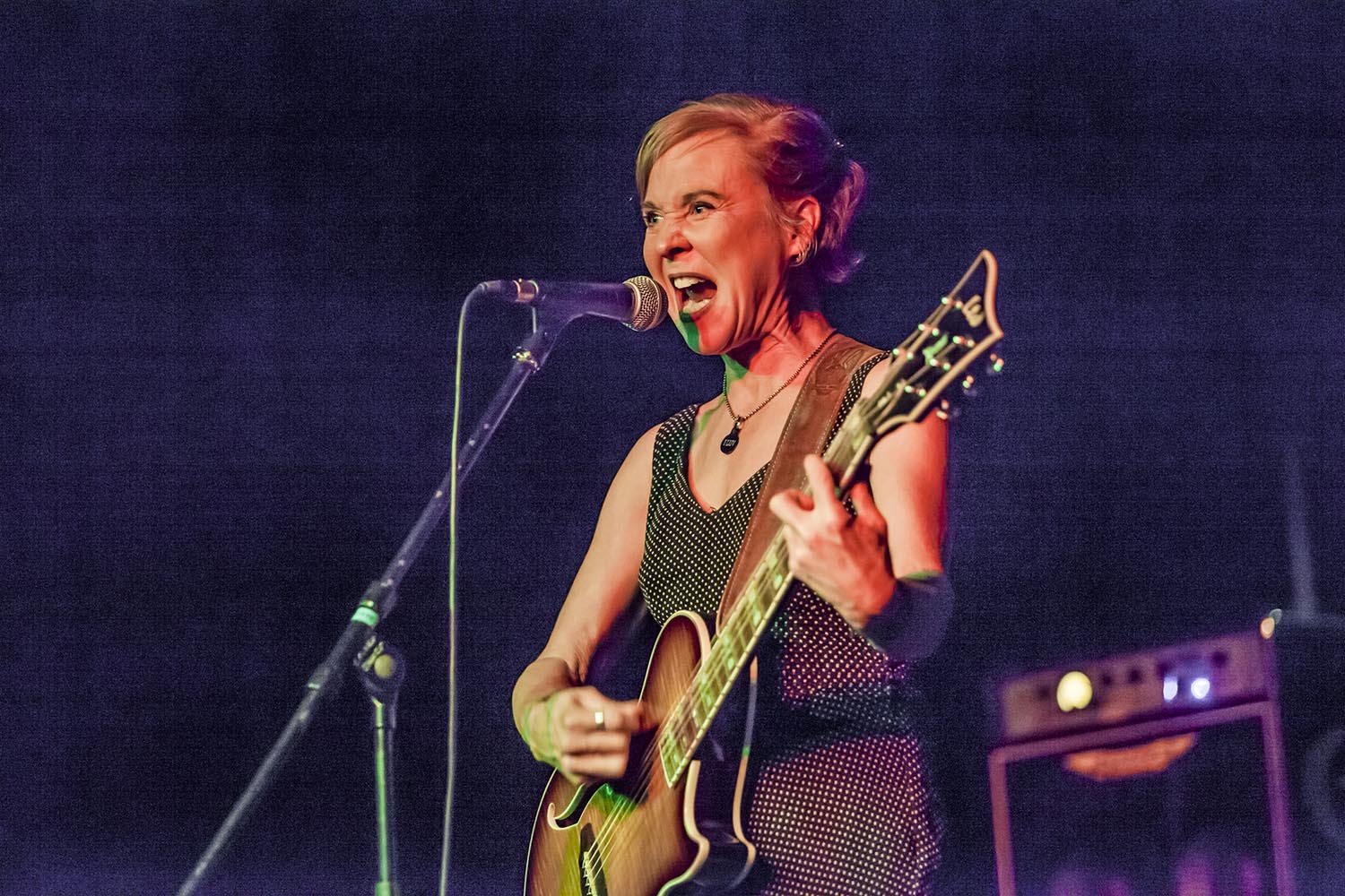 OTROS ESCENARIOS POSIBLES09/02/2019ACTUACION DE KRISTIN HERSH EN EL MINIFESTIVAL POP DE LES BASSES EN NOU BARRIS BARCELONAFOTO MARTI FRADERA
