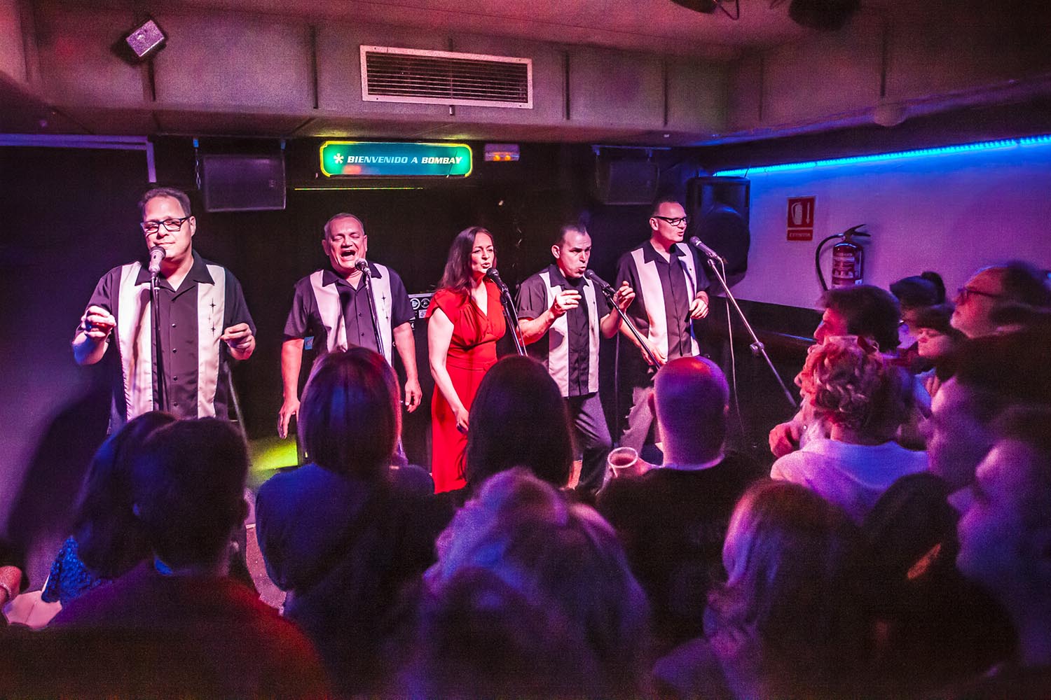 ICULT
OTROS ESCENARIOS POSIBLES
16-02-2019

CONCIERTO DE GRUPO DE DOO WOP THE CHAPERALS EN LA SALA NEW URNDERGROUND EN SANTS BARCELONA

FOTO MARTI FRADERA