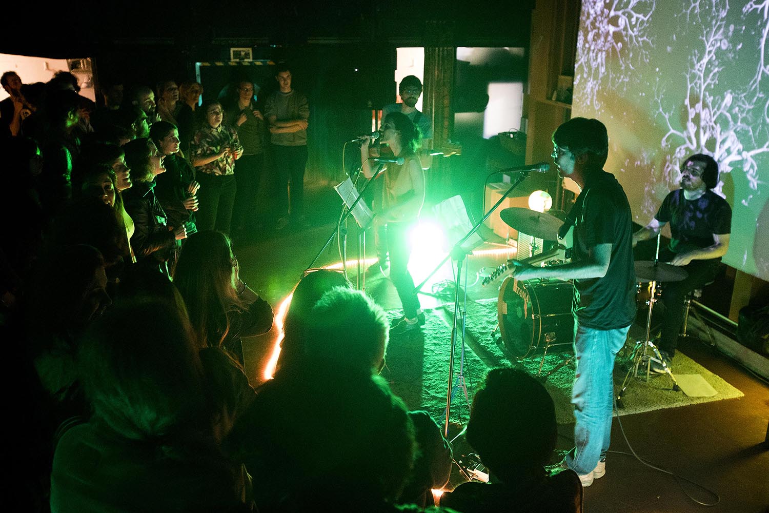 Barcelona 06/04/2017 Actuación de El Pèsol Feréstec en El Pumarejo Para la sección Otros Escenarios Posibles Foto Ferran Nadeu