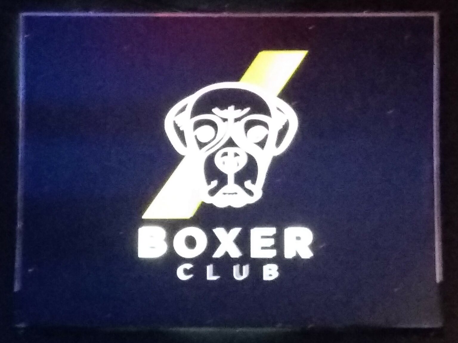 boxer